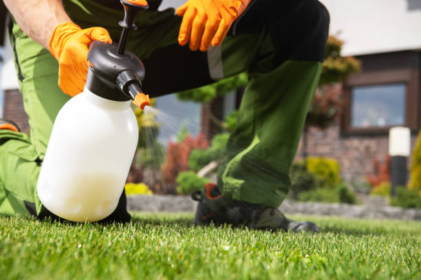 Professional Pest Control in Belvidere, IL