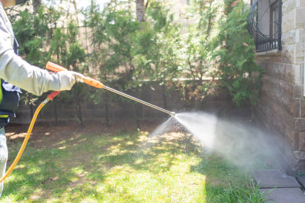 Pest Prevention Services in Belvidere, IL